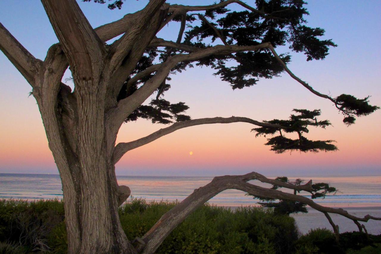 Sea View Inn - Carmel ภายนอก รูปภาพ